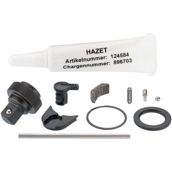 Hazet Replacement Set For Ratchet Wheel 863HP/11 For Sale Online