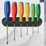 PB Swiss RainBow SwissGrip Evo Torx Screwdriver Set with Wall Bracket in Box