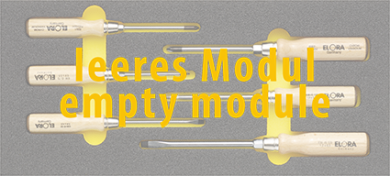 Elora Empty Module OMS-16L