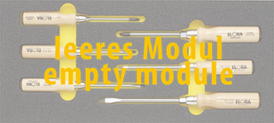 Elora Empty Module OMS-17L