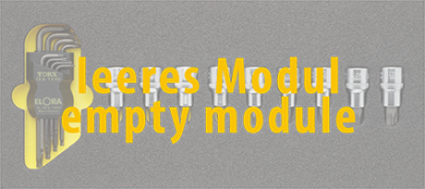 Elora Empty Module OMS-18L