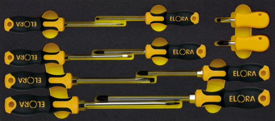 Elora Module-QUATROLIT® 2C Screwdriver Set, 10 Pce OMS-36