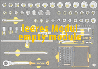 Elora Empty Module OMS-46L