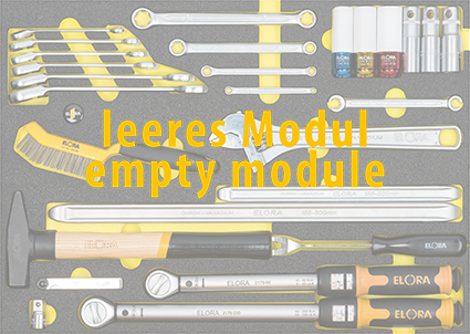 Elora Empty Module OMS-47L