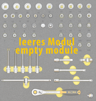 Elora Empty Module OMS-49L