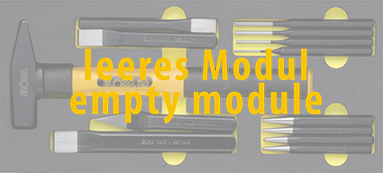 Elora Empty Module OMS-8L