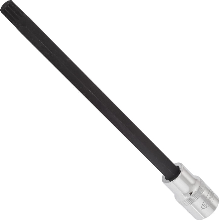 Vigor 1/2in Drive XZN Socket Bit V2134 M10