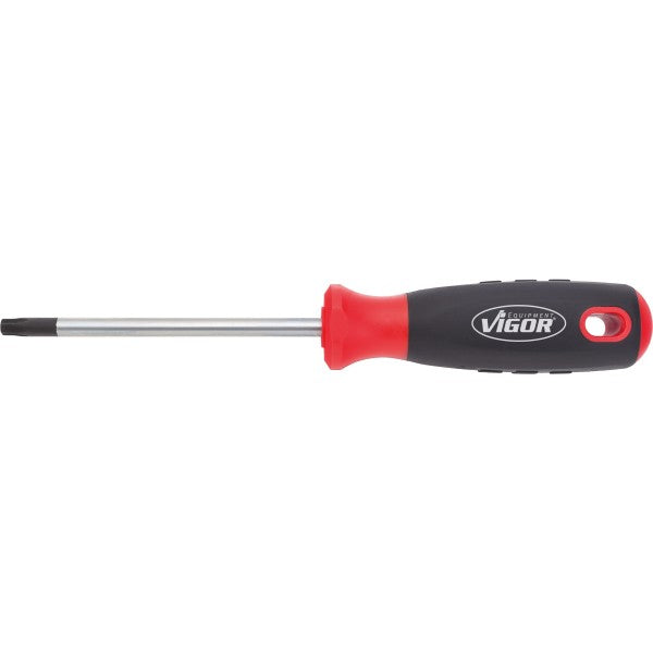 Vigor Torx Screwdriver V4421 TX8