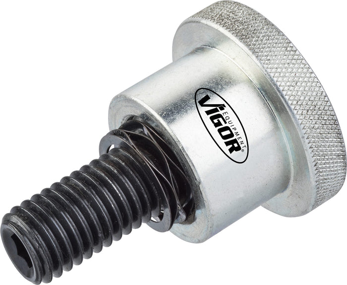 Vigor Fixing Screw M14 V3873