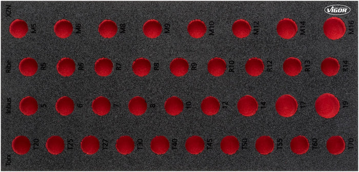 Vigor Soft Foam Insert - Empty V5099-L