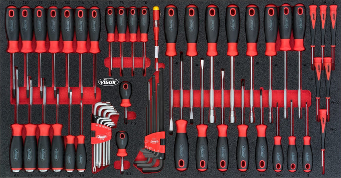 Vigor 60 Pce Screwdriver Set for Series XL V5170 Modular Insert Tray