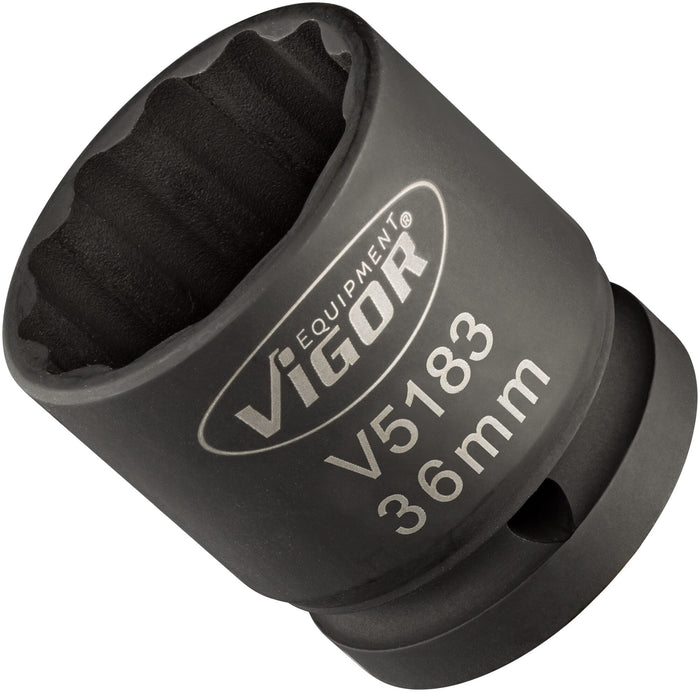 Vigor 3/4