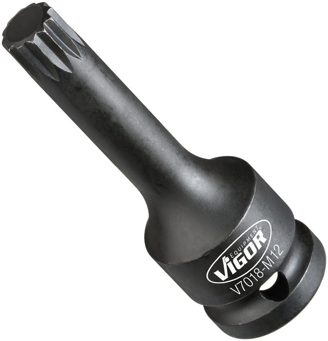 Vigor 1/2