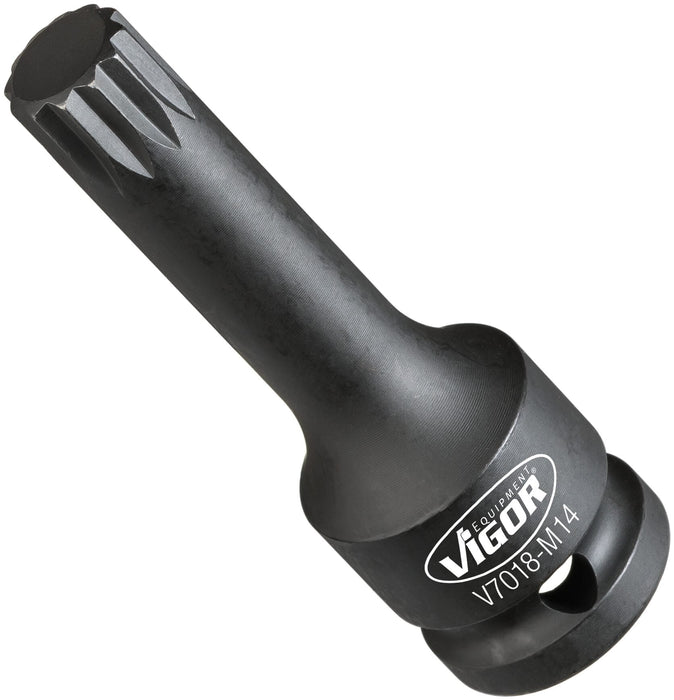 Vigor 1/2