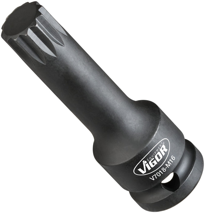 Vigor 1/2