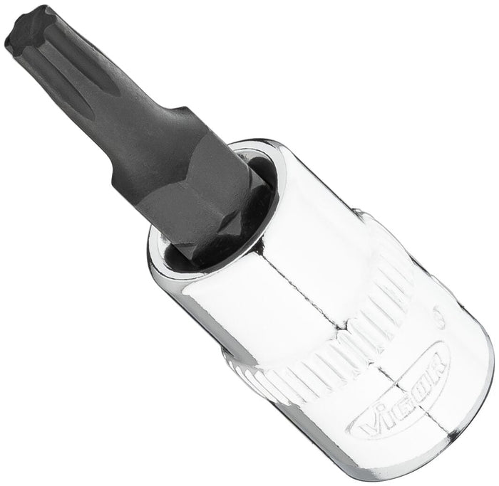 Vigor Torx Plus 1/4