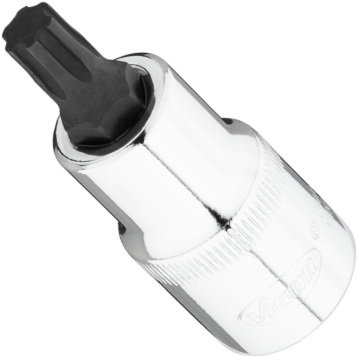 Vigor Torx Plus 1/2